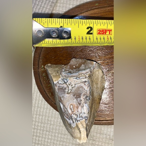 Crazy Lace Agate Slab - Picture 6 of 8